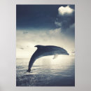 Search for jumping dolphin posters Wildlife
