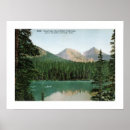 Search for fern posters Antique