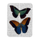 Search for flies magnets Animals