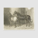 Search for equestrian tissue paper Ephemera
