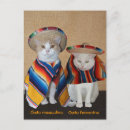 Search for sombreros postcards Cat