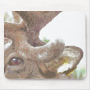 Search for caribe electronics Reindeer