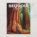 Search for sequoia national park postcards Redwoods