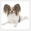 Search for papillon stickers Puppies