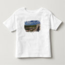 Search for castello tshirts Building