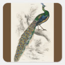 Search for engraver stickers Birds