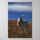 Search for filly posters Stallion