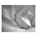Search for selective colouring posters Monochrome