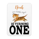 Search for wild one magnets Jungle