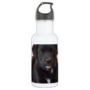 Search for black labrador water bottles Dog