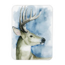 Search for stag magnets Deer