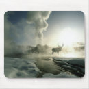 Search for sunrise mouse mats Wildlife