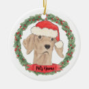 Search for vizsla christmas tree decorations Viszla