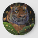 Search for jungle clocks Big cat