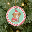 Search for dog costumes christmas tree decorations Cute