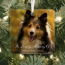 Search for sympathy pet memorial ornaments Cat