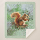 Search for red squirrel blankets Cute