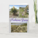 Search for gracias thank you cards Cactus