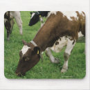 Search for rendering mouse mats Vertical