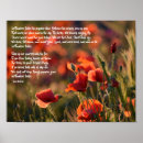 Search for flanders fields posters Poppy