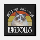 Search for ragdoll magnets Cute
