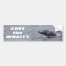 Search for save the ocean bumper stickers Marine