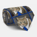 Search for tabby ties Cute