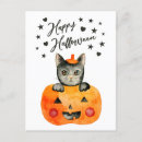 Search for kitten halloween cards Black cat
