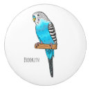 Search for bird knobs and pulls Pets