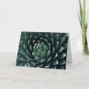 Search for agave cards Plant