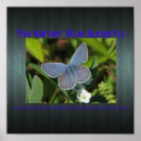 Search for environmental conservation posters Nature