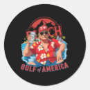 Search for gulf stickers Democrat