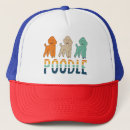 Search for poodle hats Puppy