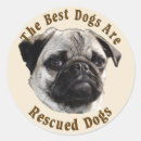 Search for rescue stickers Animal shelter