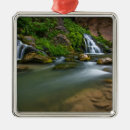 Search for zion national park christmas tree decorations River