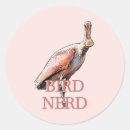 Search for bird nerd stickers Birder