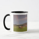 Search for northumberland mugs England