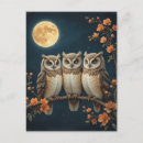 Search for owl on a branch postcards Owls