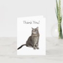 Search for grey cat cards Tabby