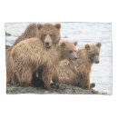Search for river pillowcases Alaska