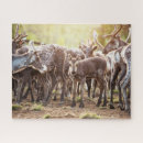 Search for lapland puzzles Reindeer