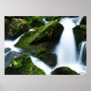 Search for waterfall posters Stone