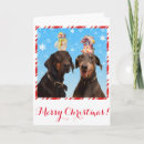 Search for doberman christmas cards Humour