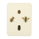 Search for studio magnets Insects