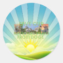 Search for doge stickers United states