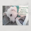 Search for patricks postcards Adorable