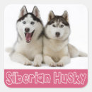 Search for siberian husky dog stickers Puppies