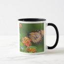 Search for invertebrates mugs Nature