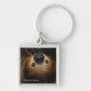Search for sloth image key rings Photos of sloths