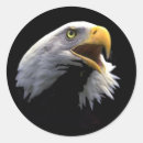 Search for eagle designs stickers Patriotism